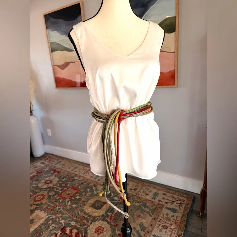 Multicolor Leather Skinny Belt Bundle